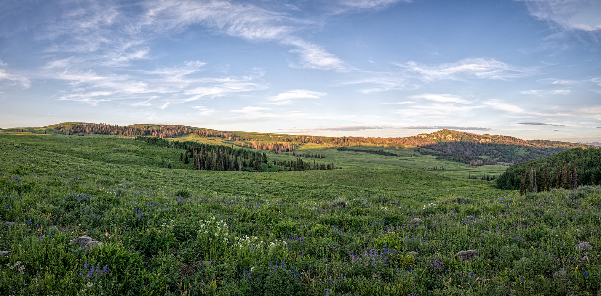 220709-2066-67.jpg