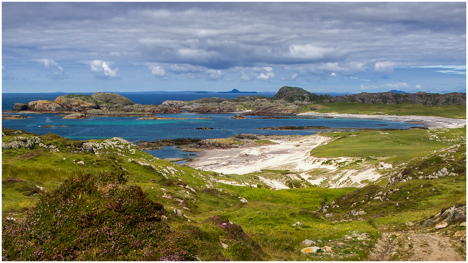 6_8089269 as Smart Object-1-1 for focal.jpg