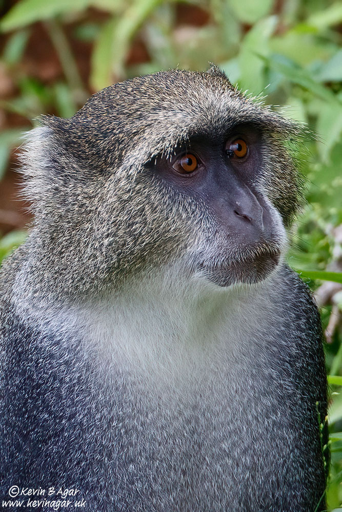 7D2_1111.jpg