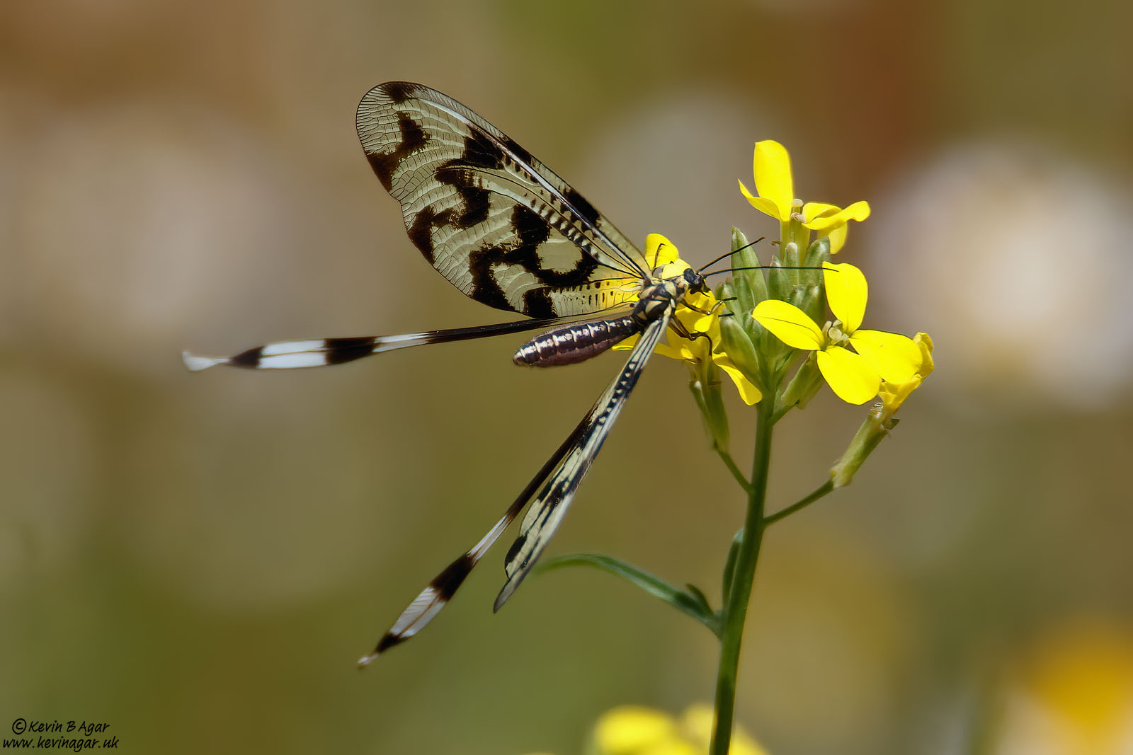 7D2_7042.jpg
