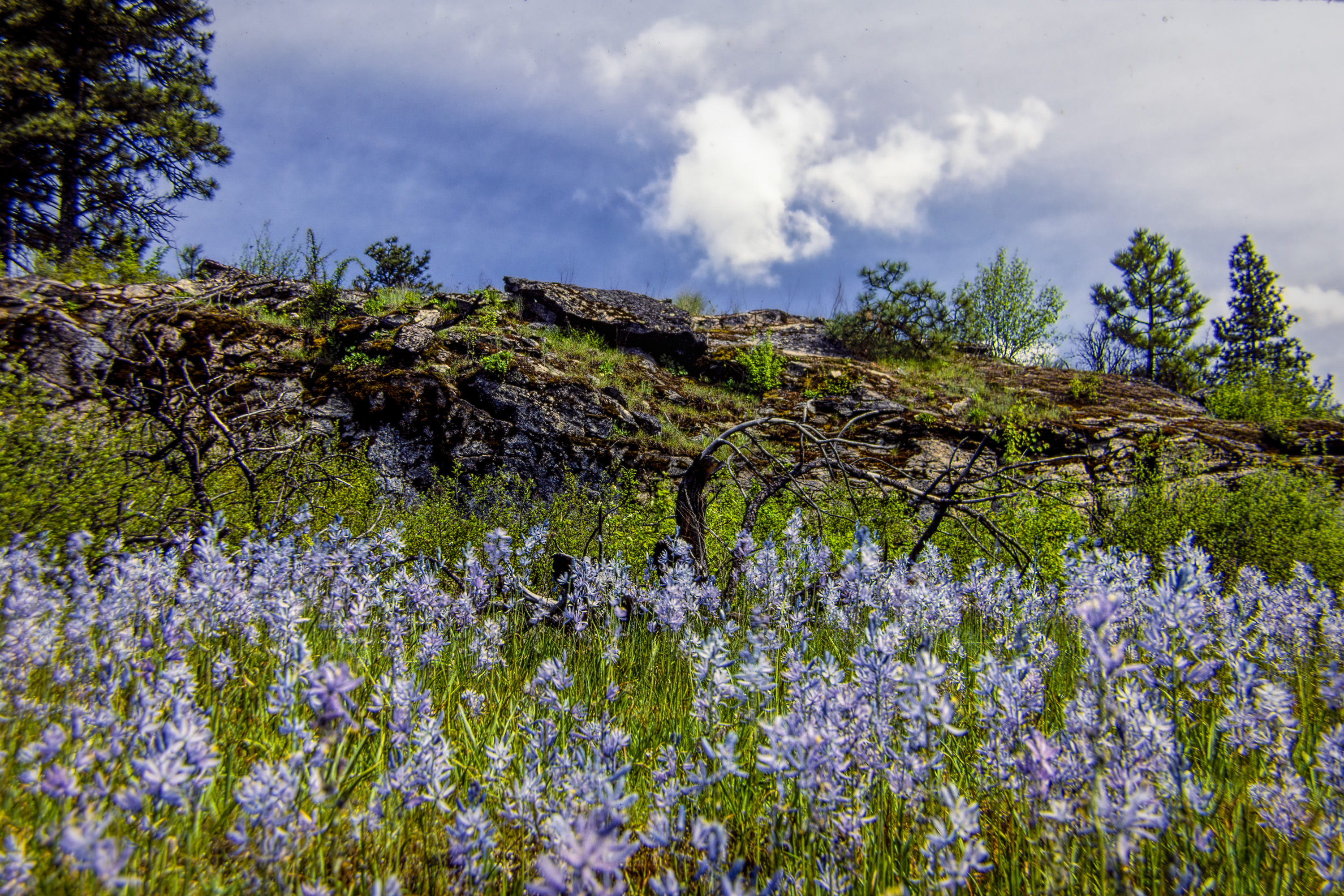 81 ju l 220207-27565-R5.jpg