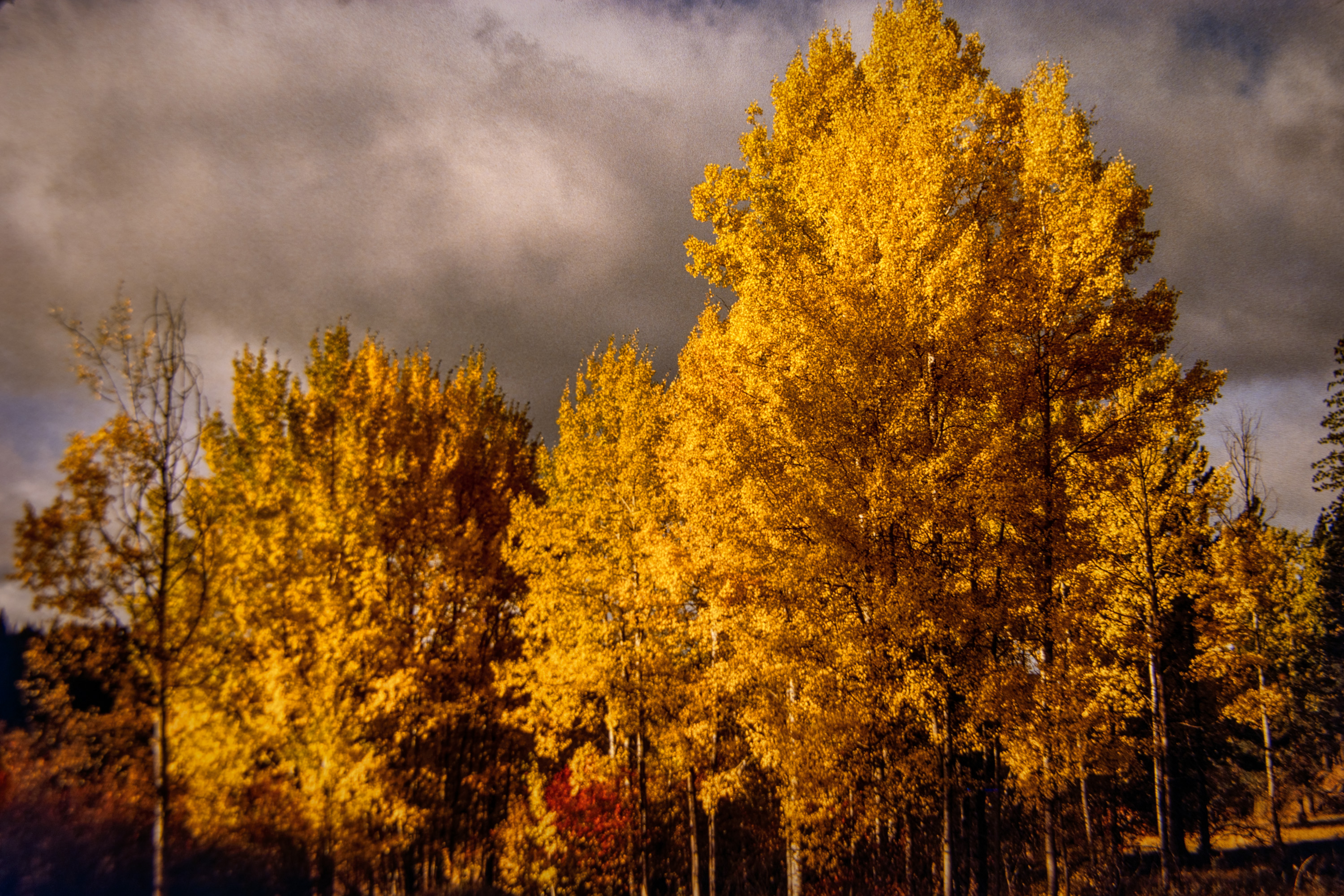 82 oct k25 220213-27615-R5.jpg
