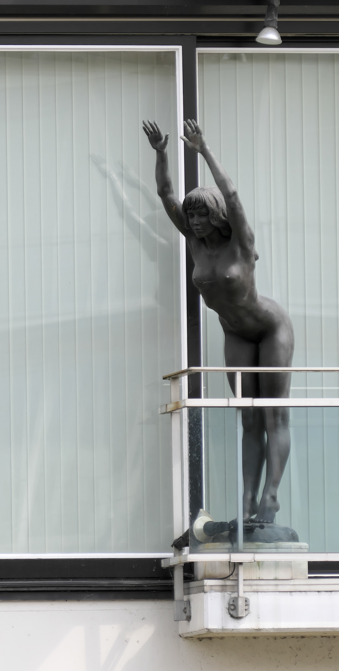 _1001653.jpg
