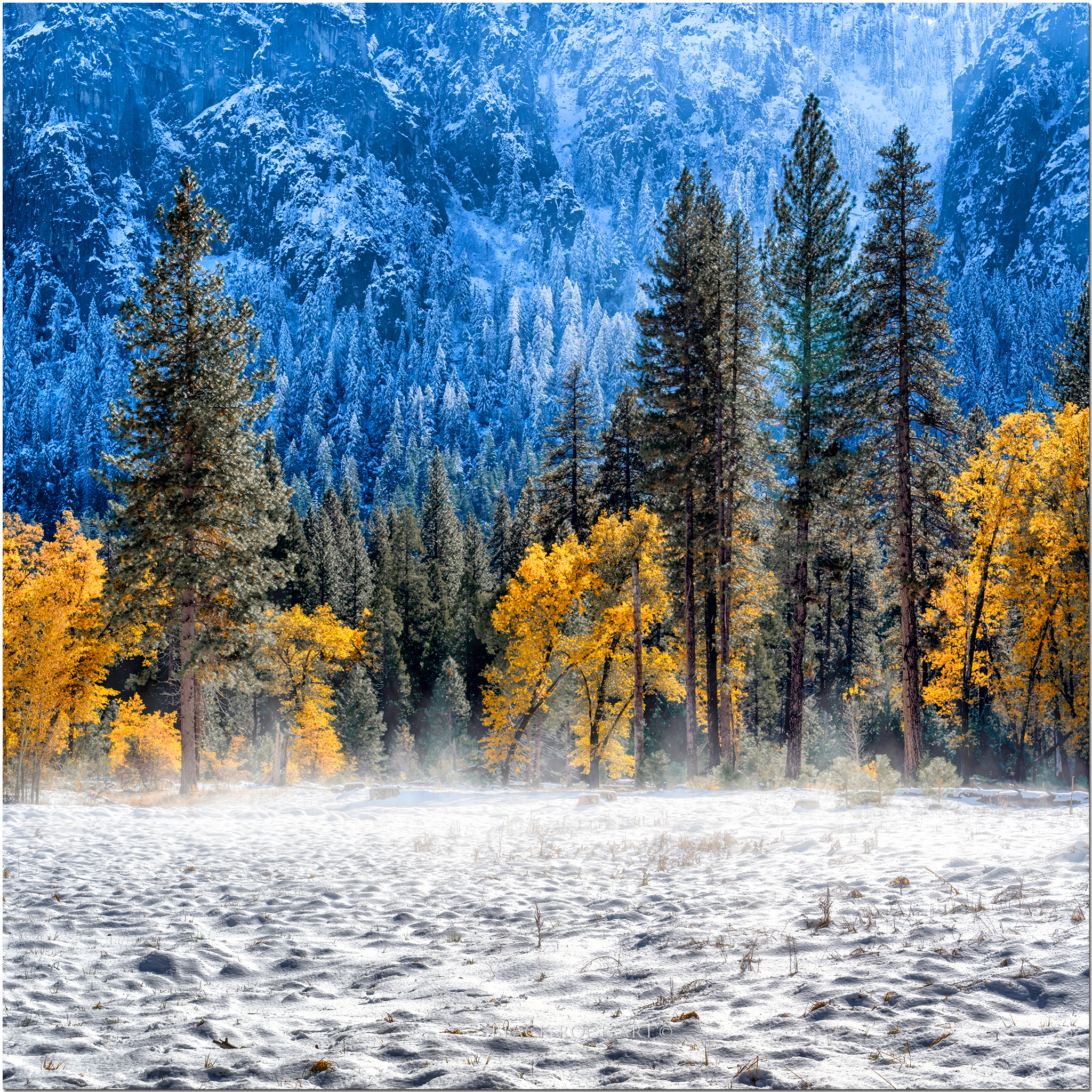 _B4C1033YosemiteSnowSQCropV2.jpg