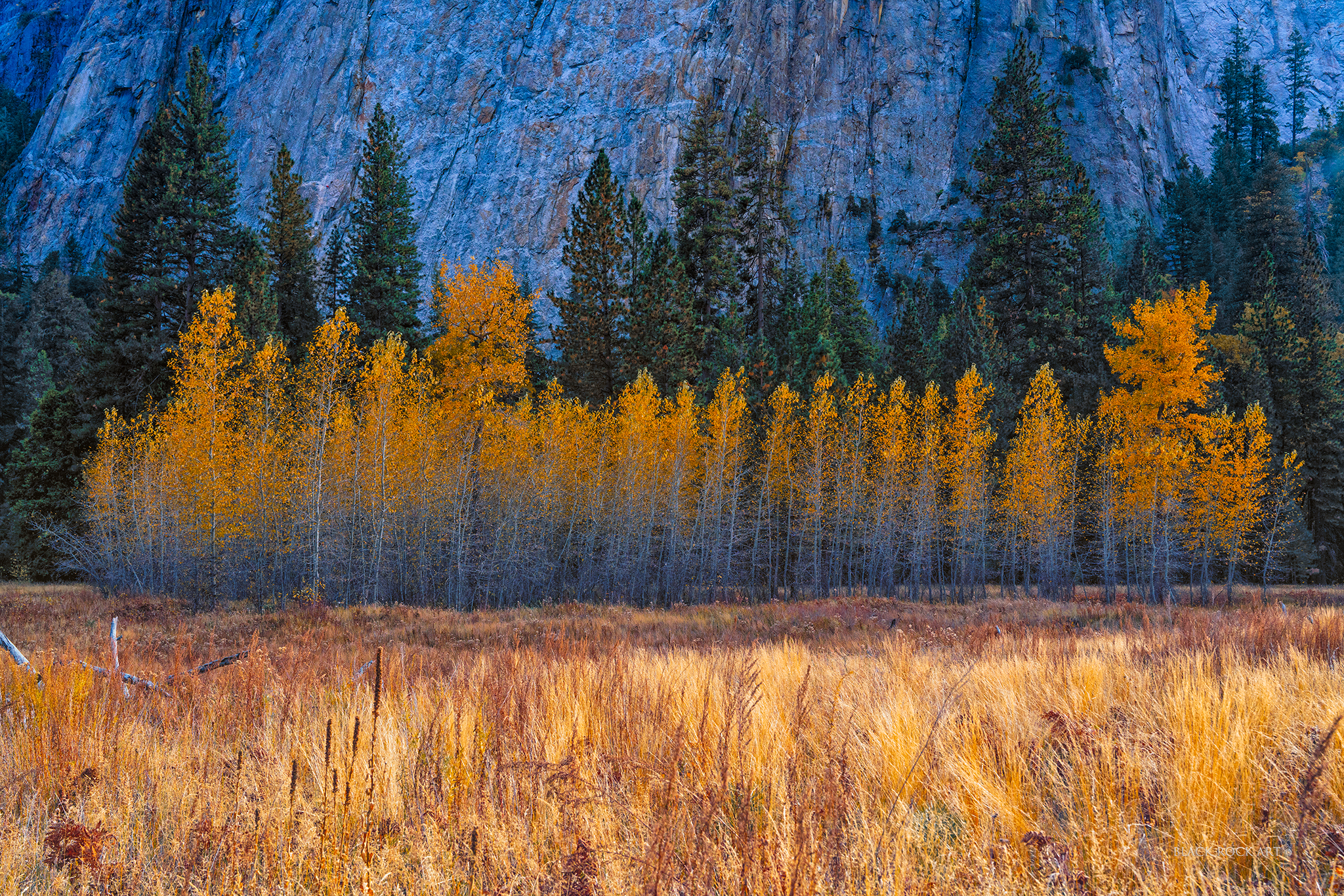 _BRC2816YosemiteFoliageFB.jpg