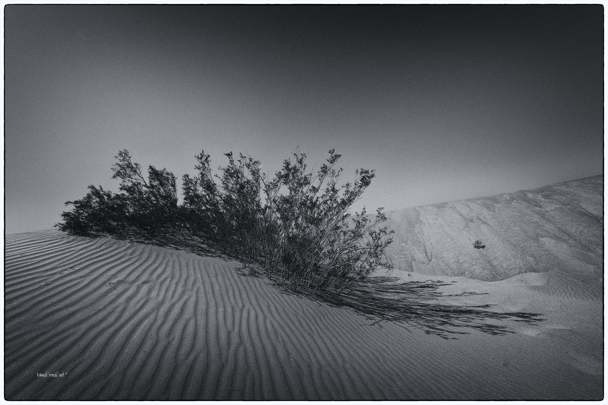 _BRC5492MesquiteFB.jpg