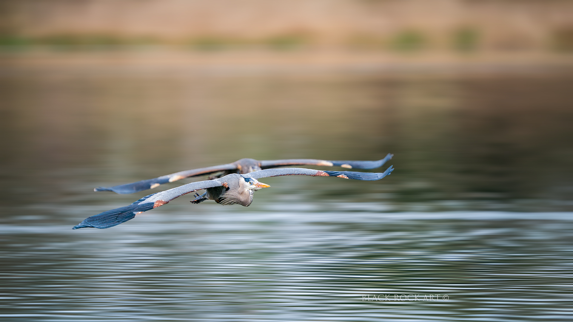 _CAP4797Crop2Glides.jpg