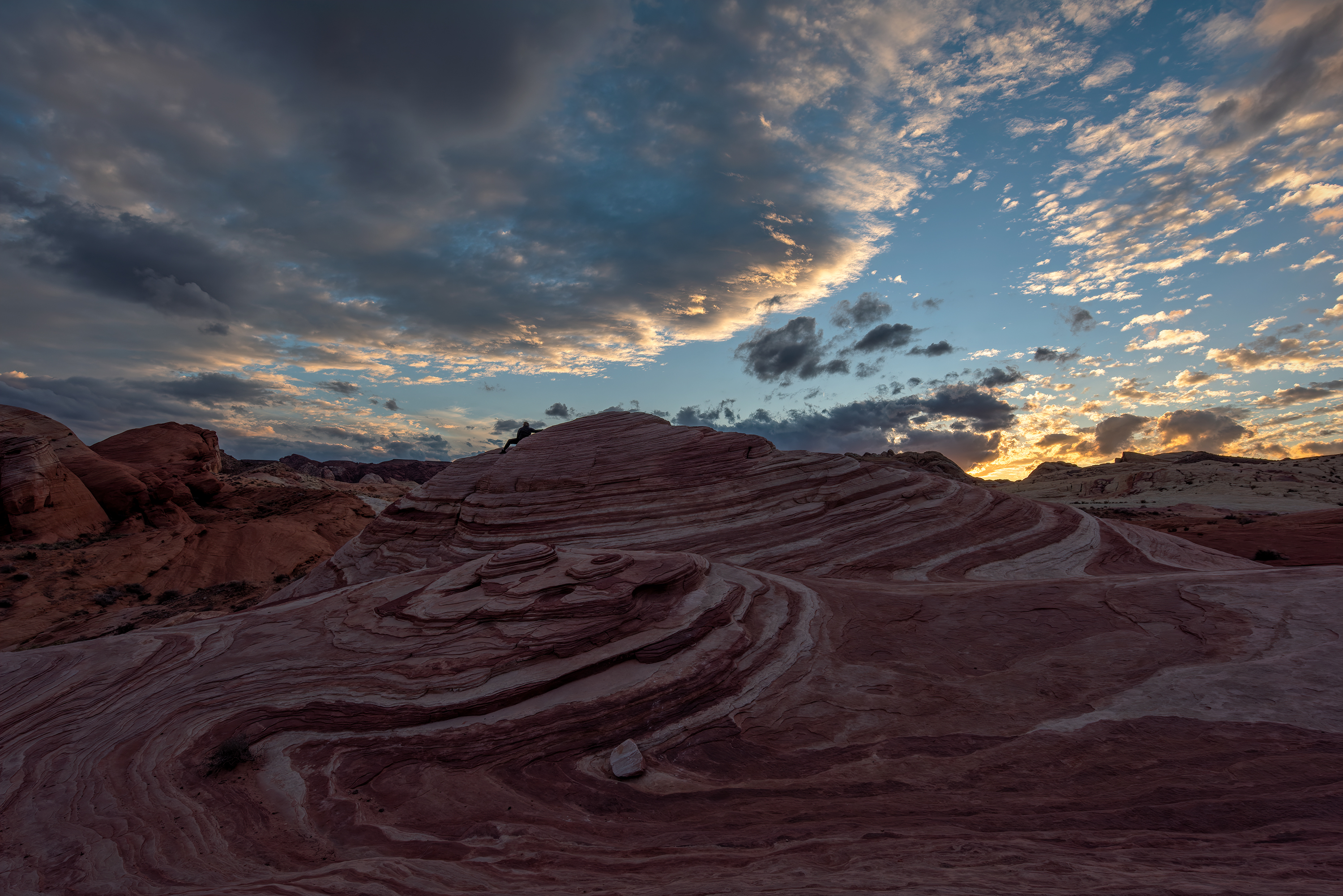 _D810028-NEF_DxO_DeepPRIME.jpg
