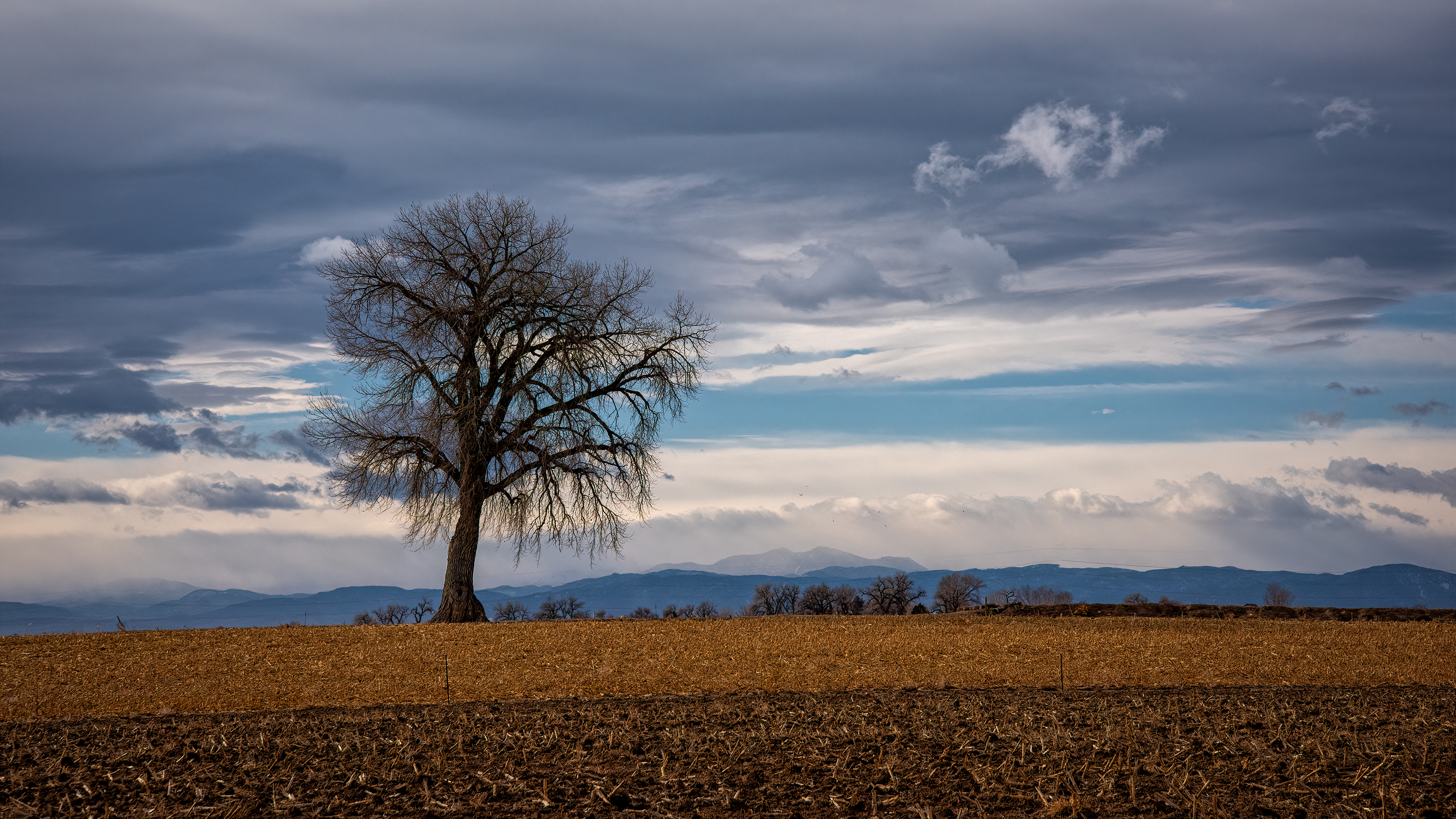 _D810126 (1).jpg