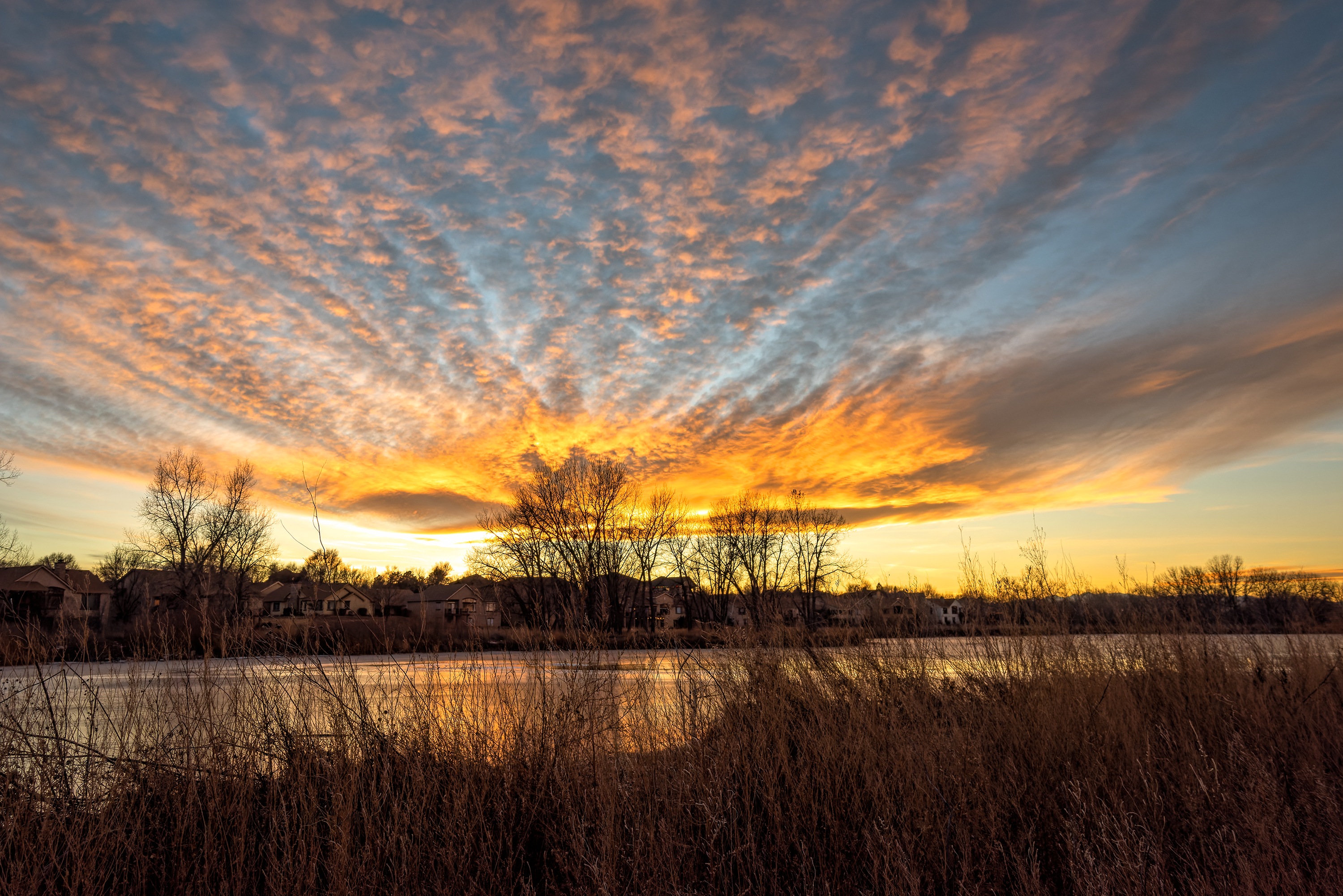 _D810198-NEF_DxO_DeepPRIME.jpg