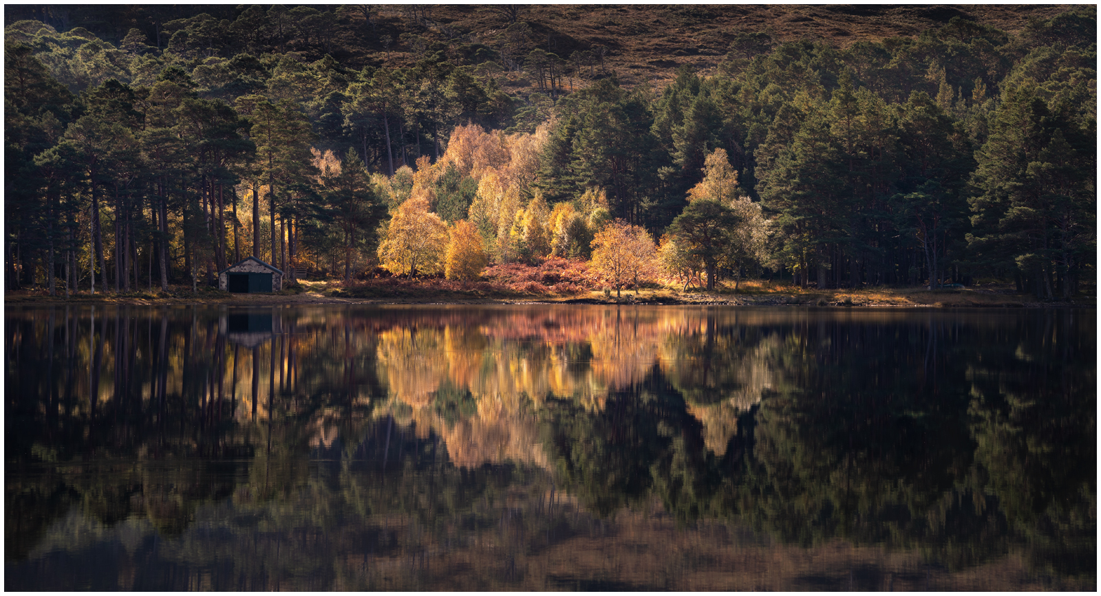 _DSC3100-1 1600 White Stroke