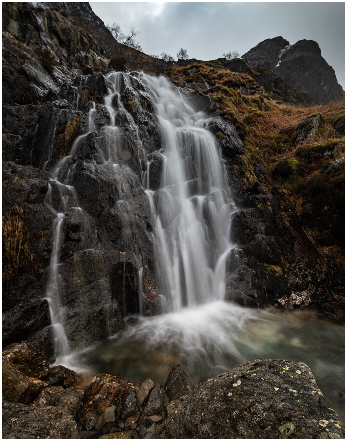 _DSC8001-1