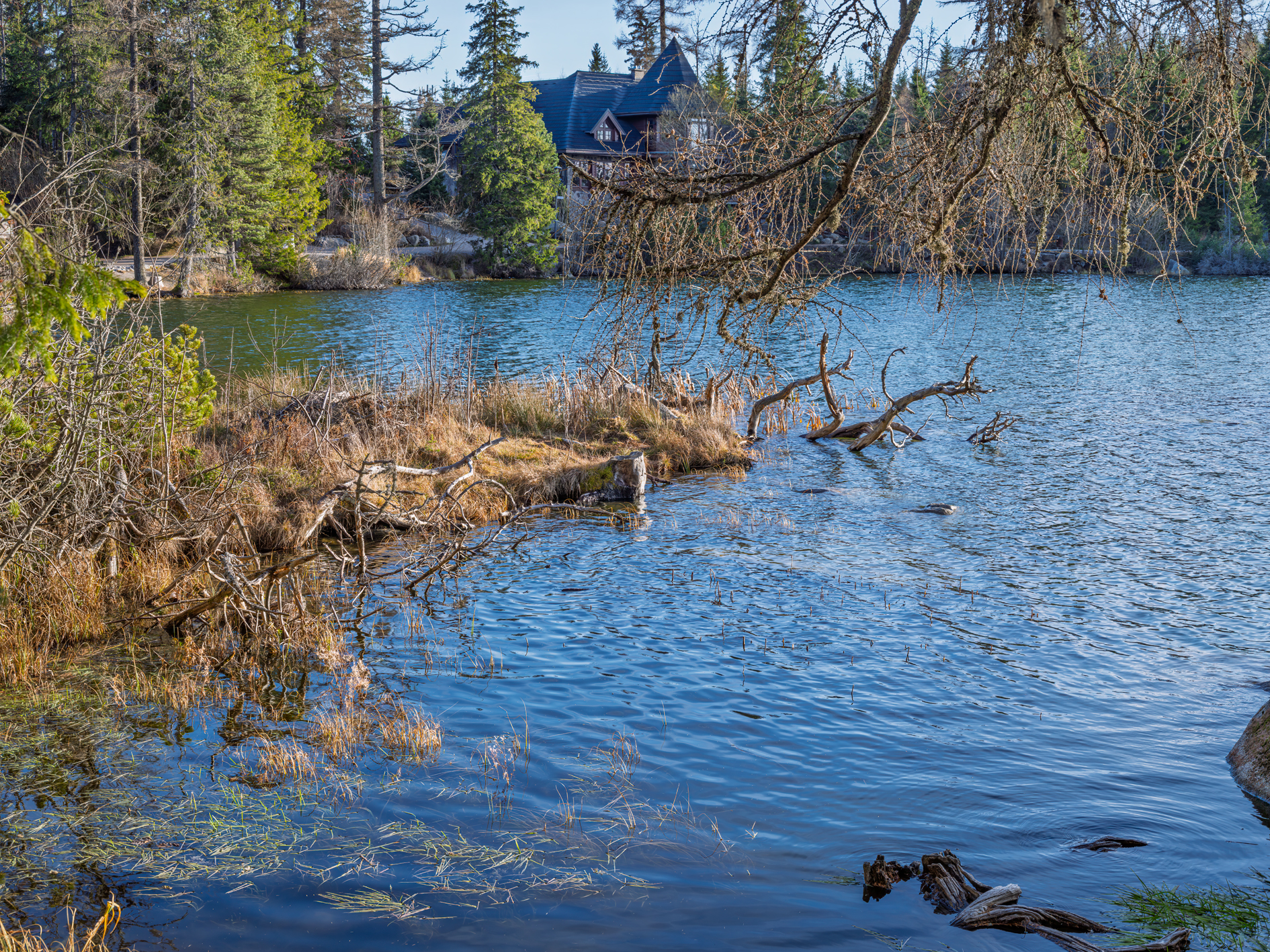 _DSF3334 – Adaptive Photo kopie.jpg