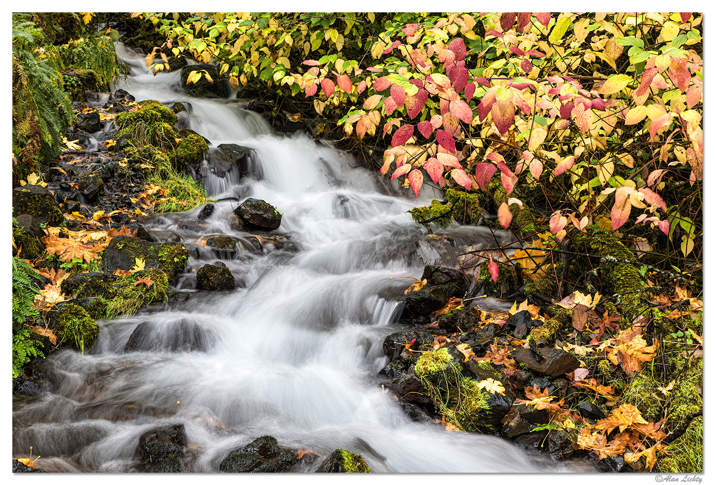 A Small Scene at Wahkeena Falls.