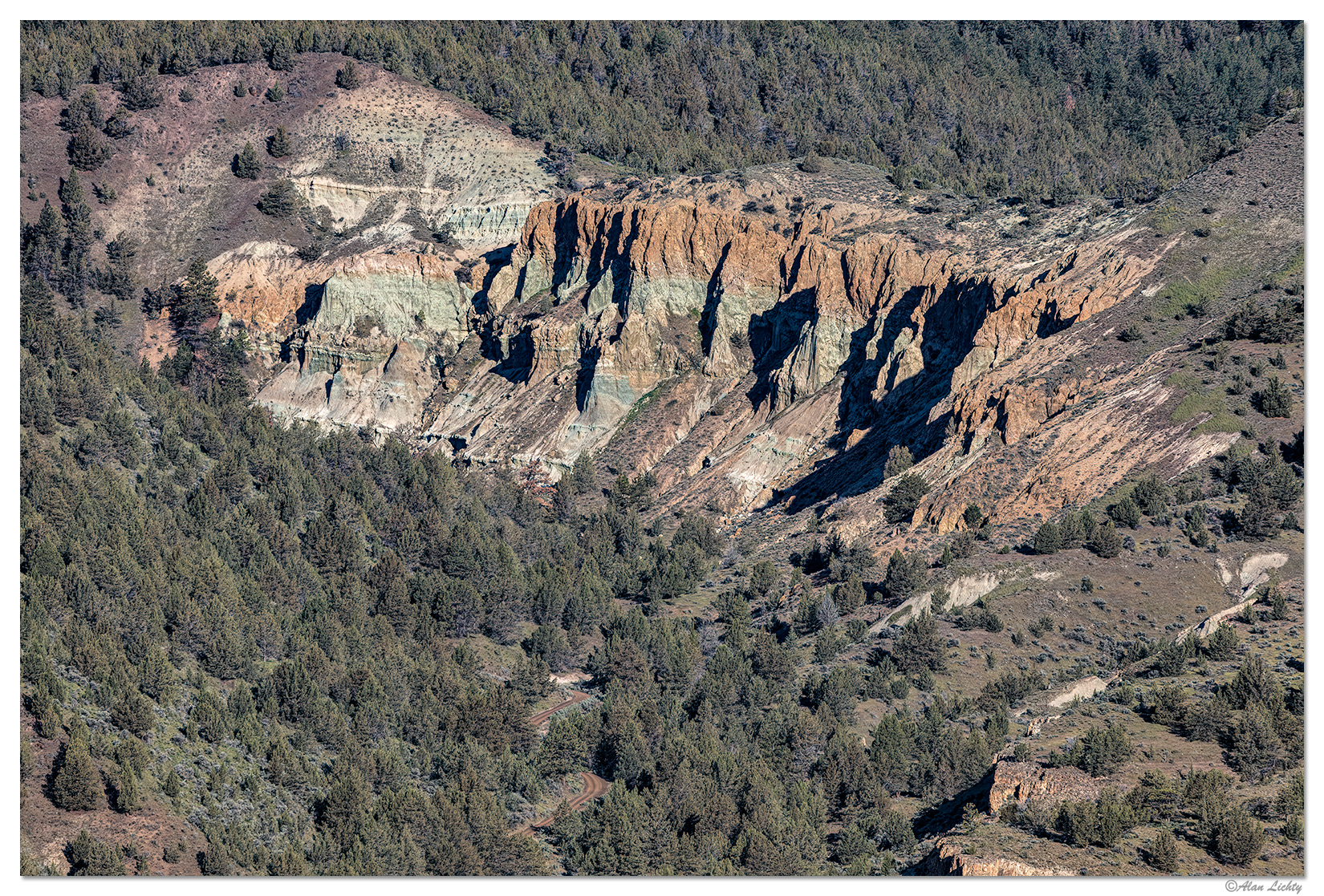 A View from Foree