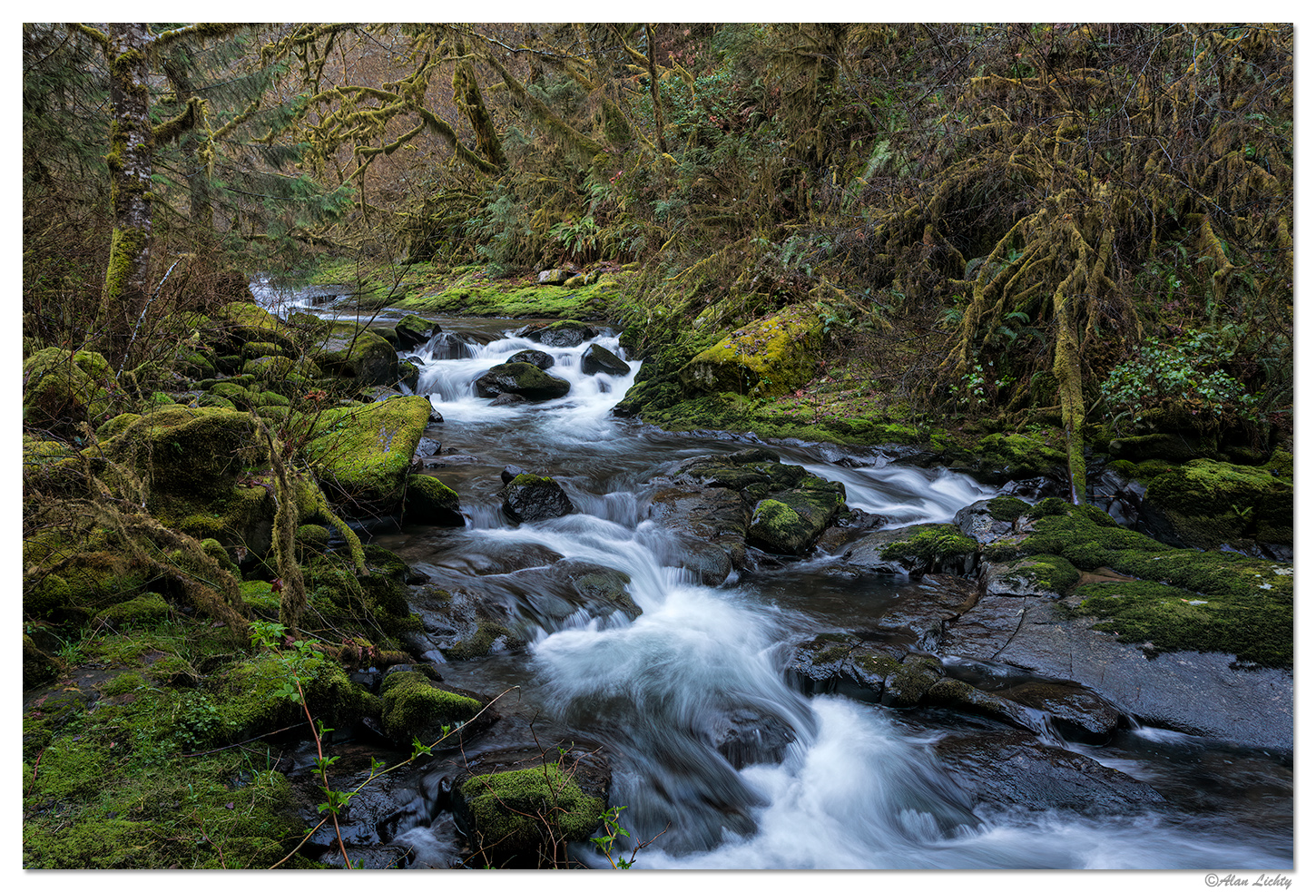 Above Anise Falls