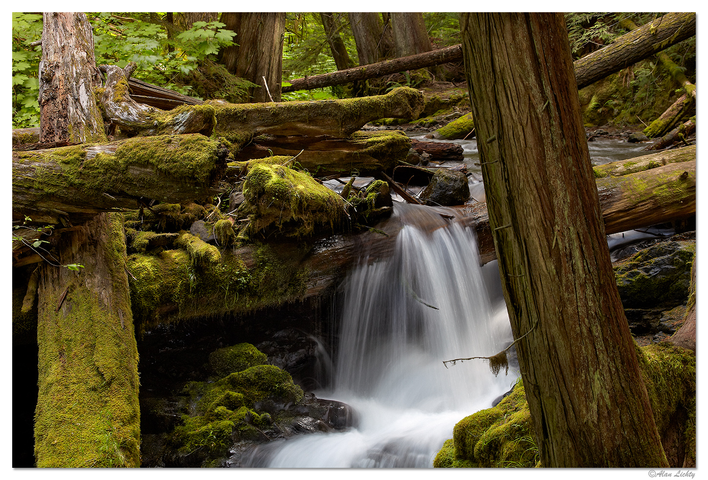 Above Panther Falls