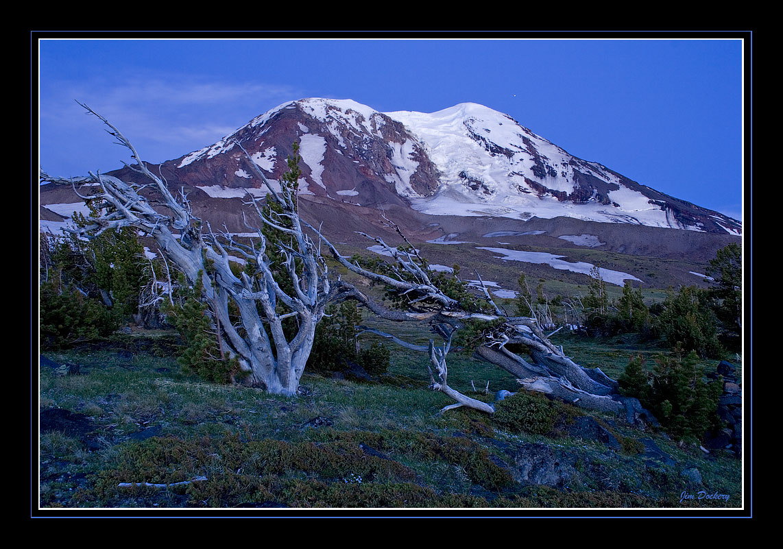 Adams-Dawn-NW