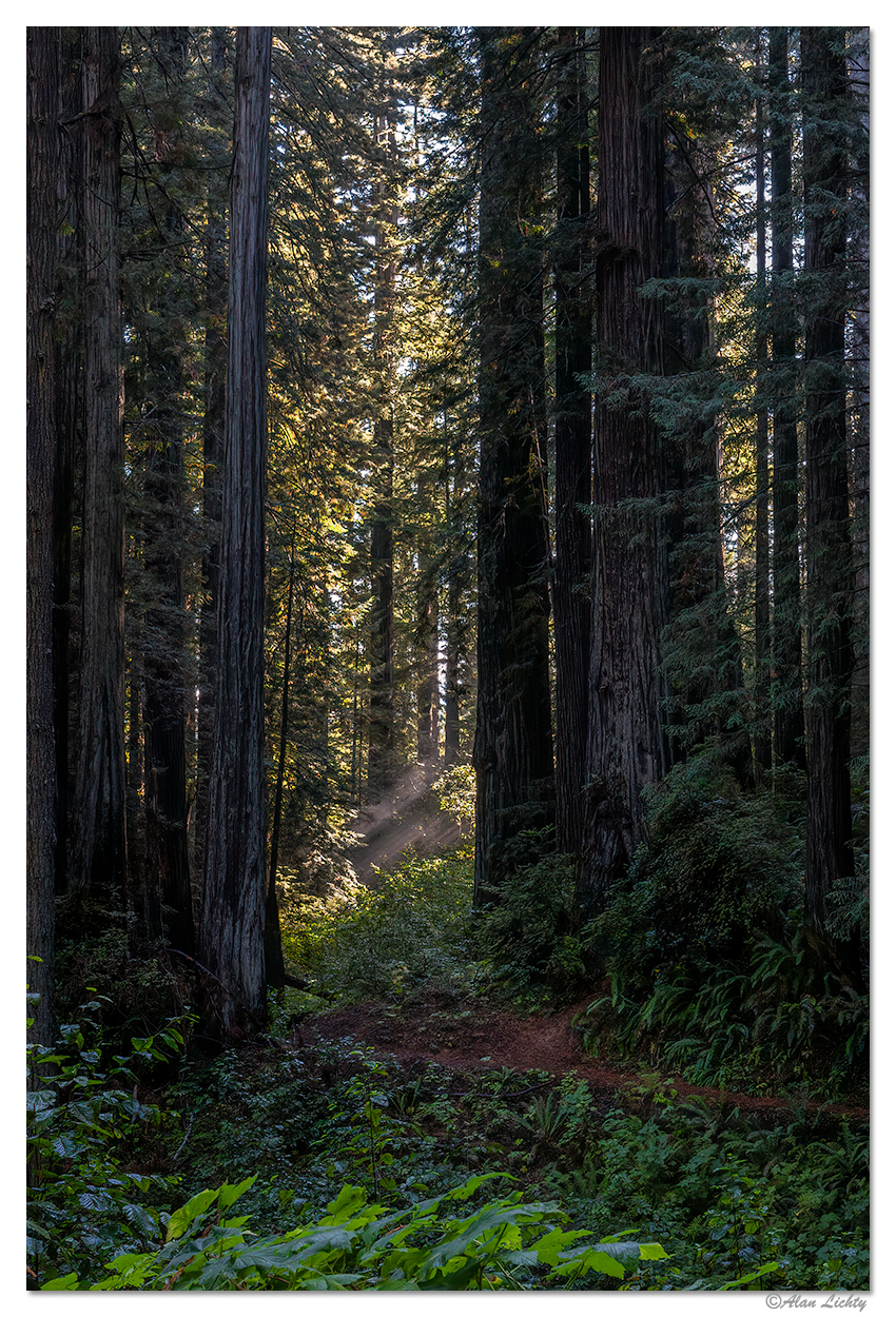 Ah-Pah Trail