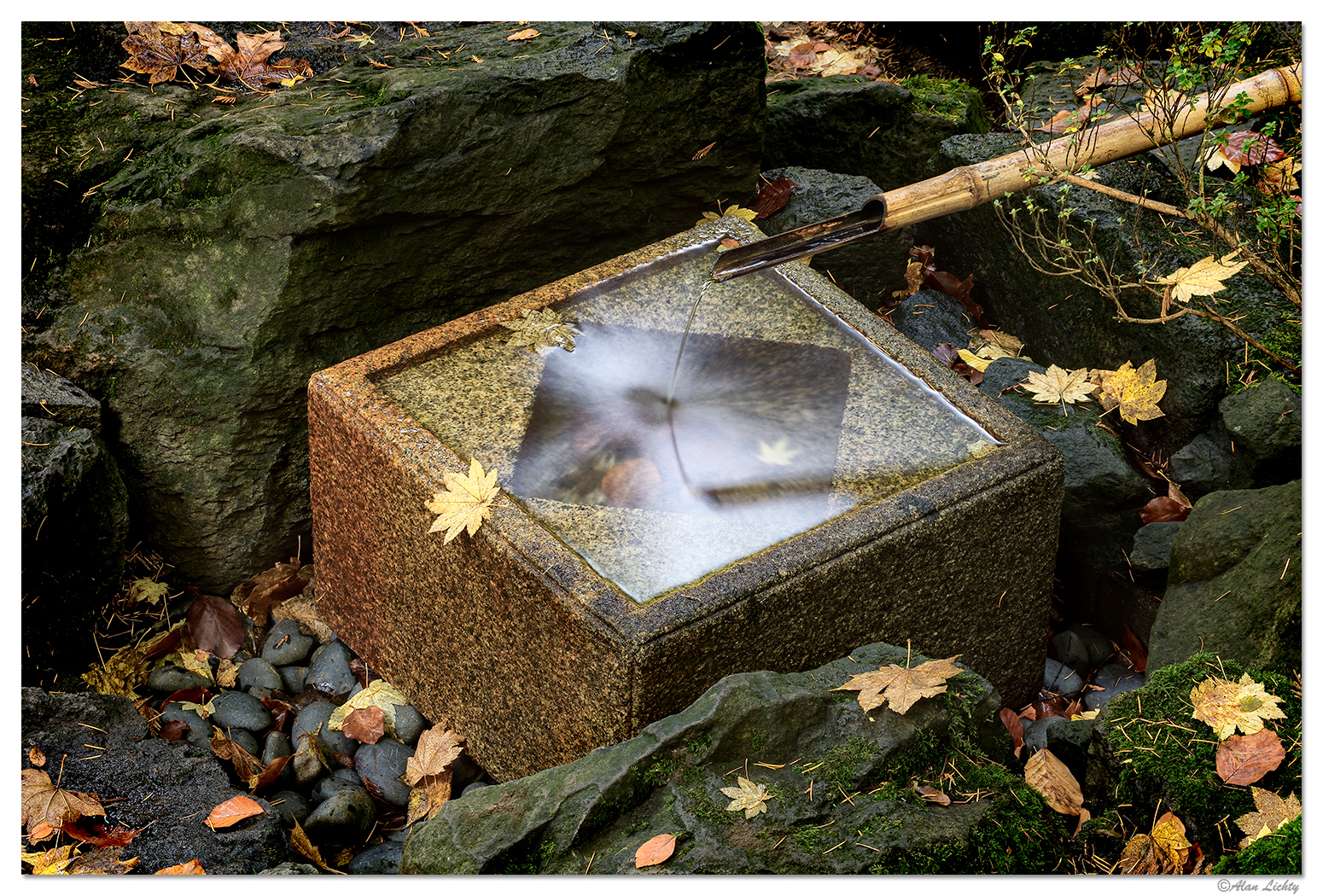 Bamboo Fountain
