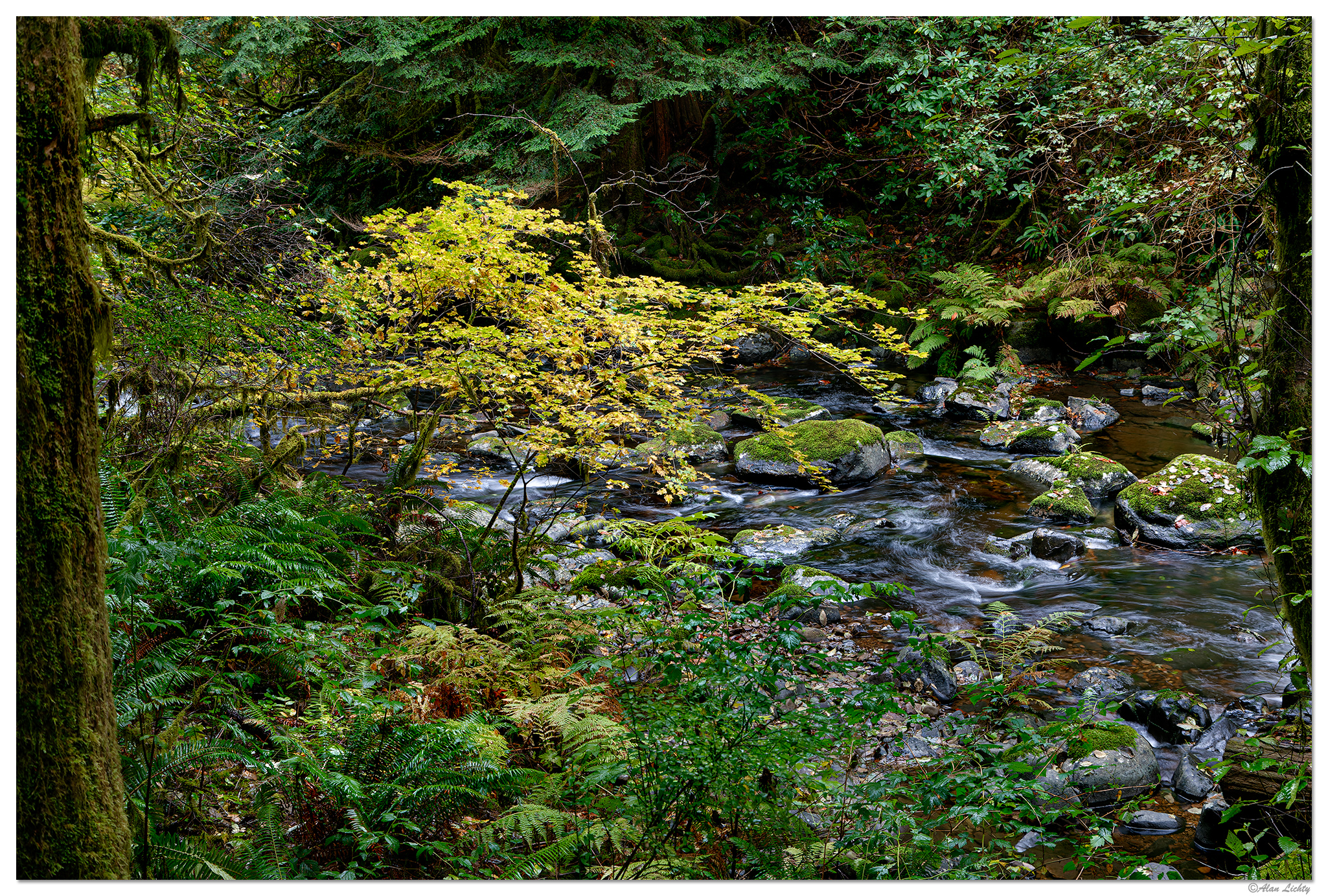 BeaverCreekFallsTrail110322.jpg