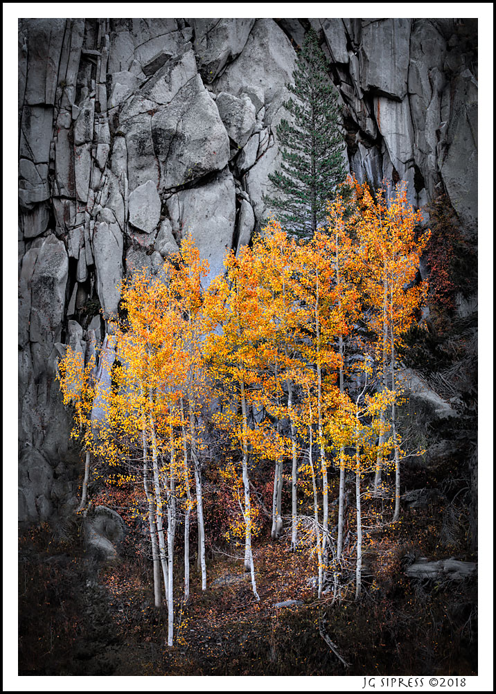 Bishop Canyon Color