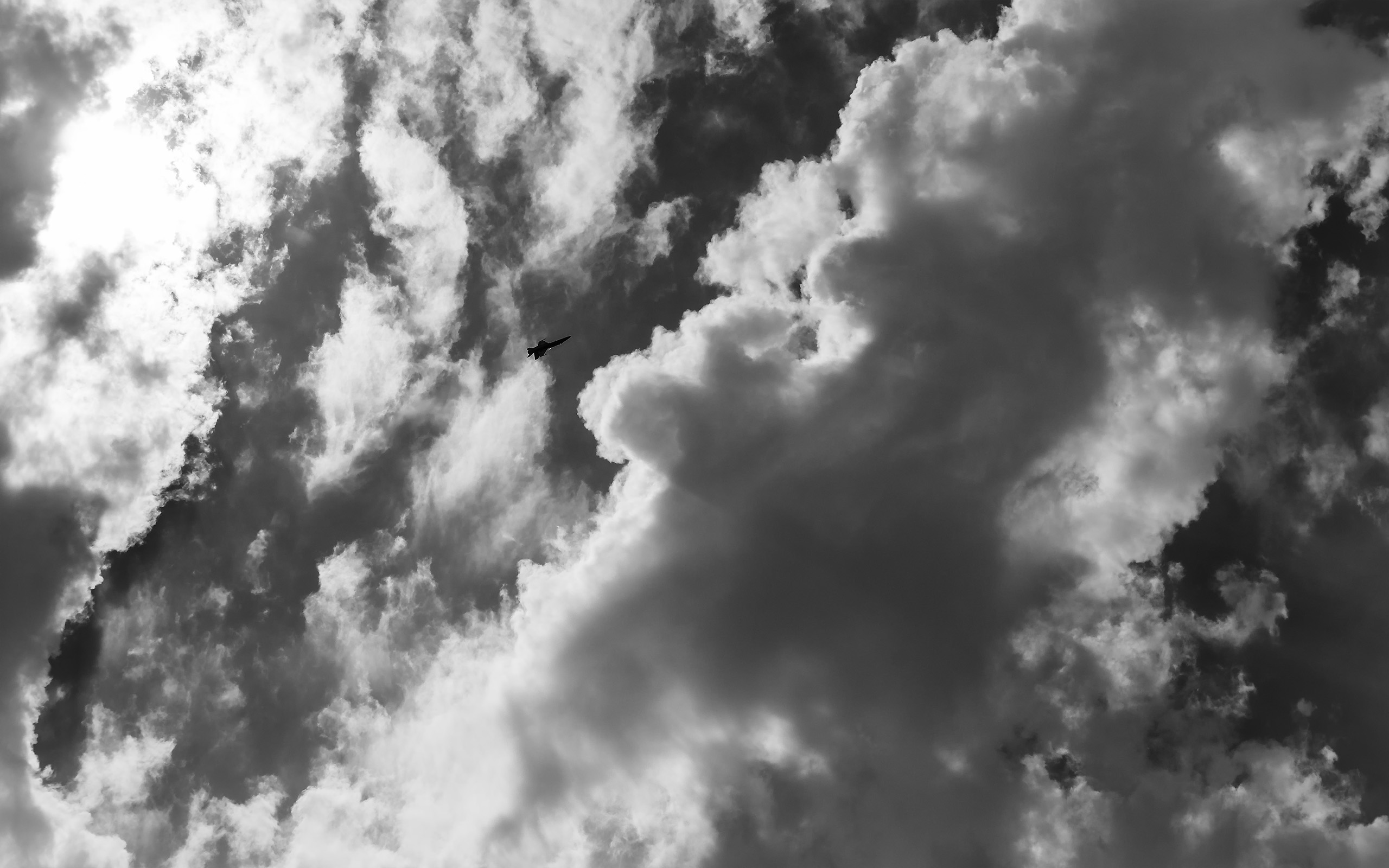 Blue Angels (82bw)