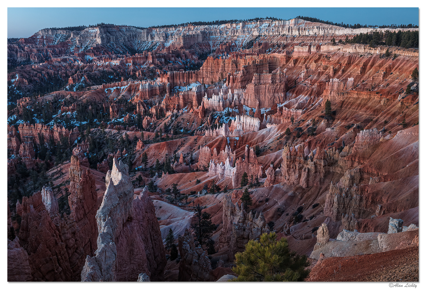 Blue Bryce