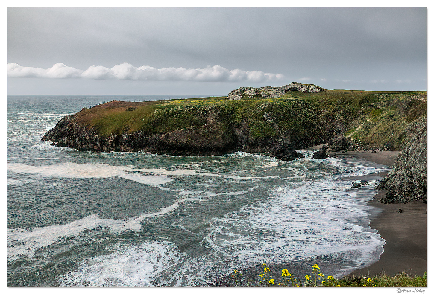 Bodega Bay Blooms