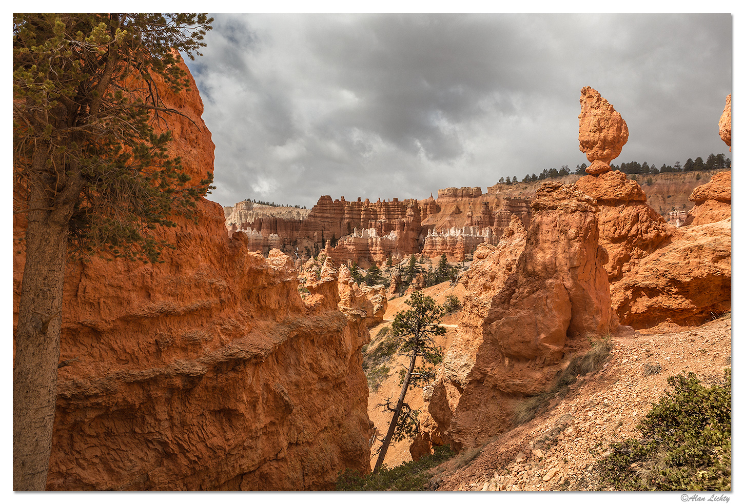 Bryce - Queens Garden Trail Scenes