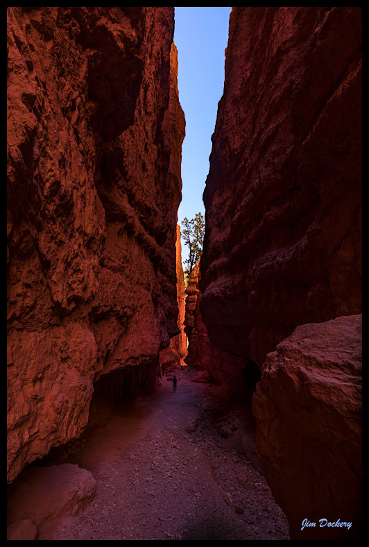 Bryce_1352