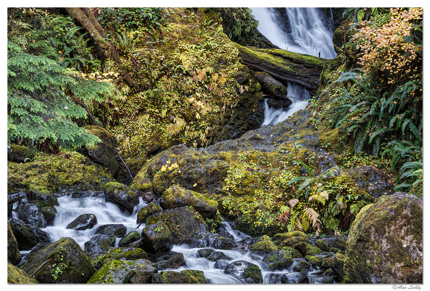 Bunch Creek Falls