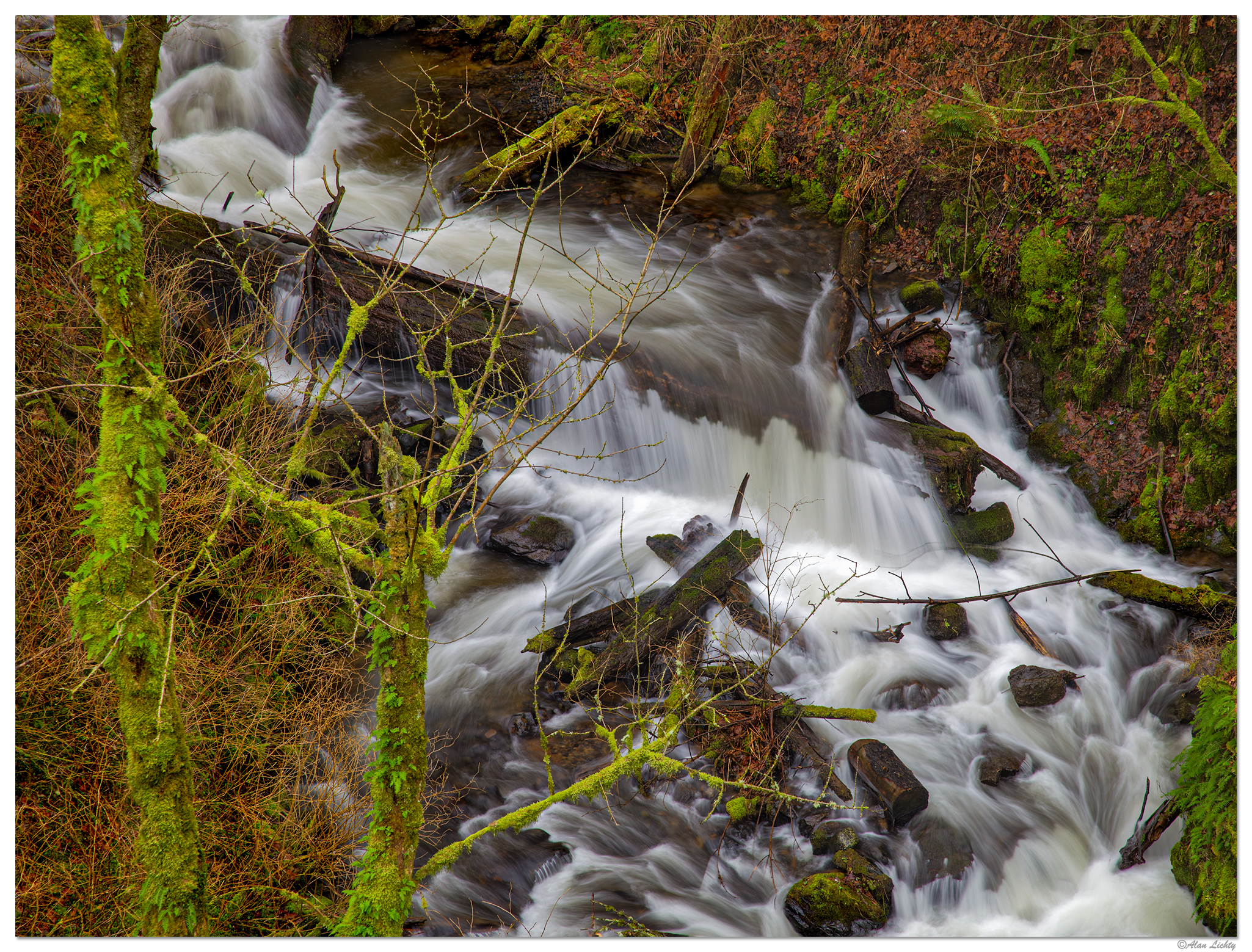 C5D2_LatourellCreek020313.jpg