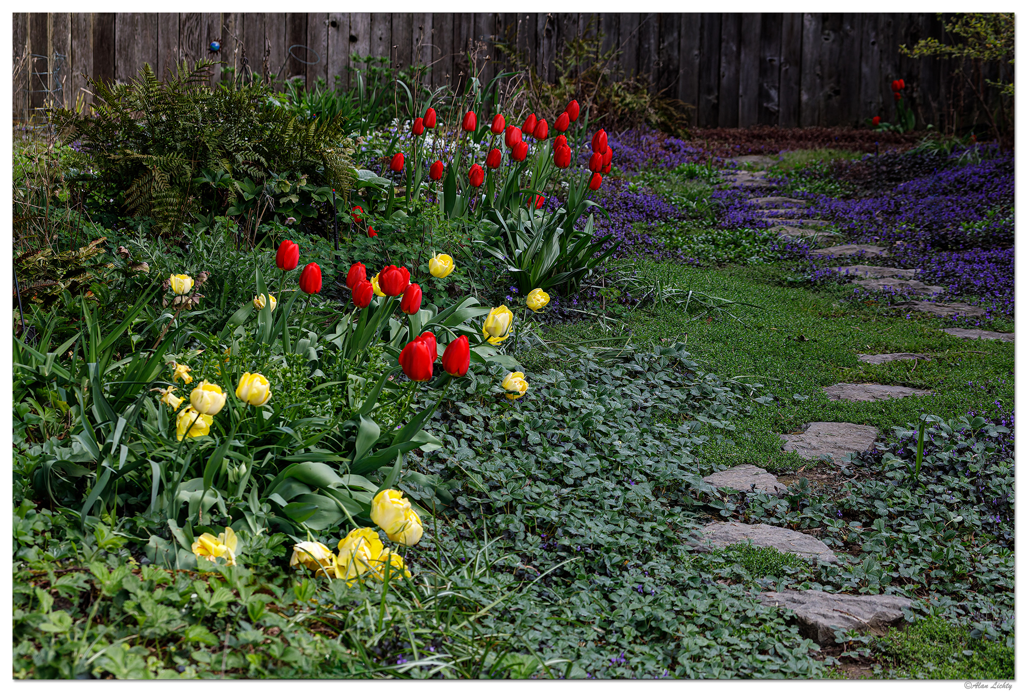 C5D4_Backyard041124.jpg