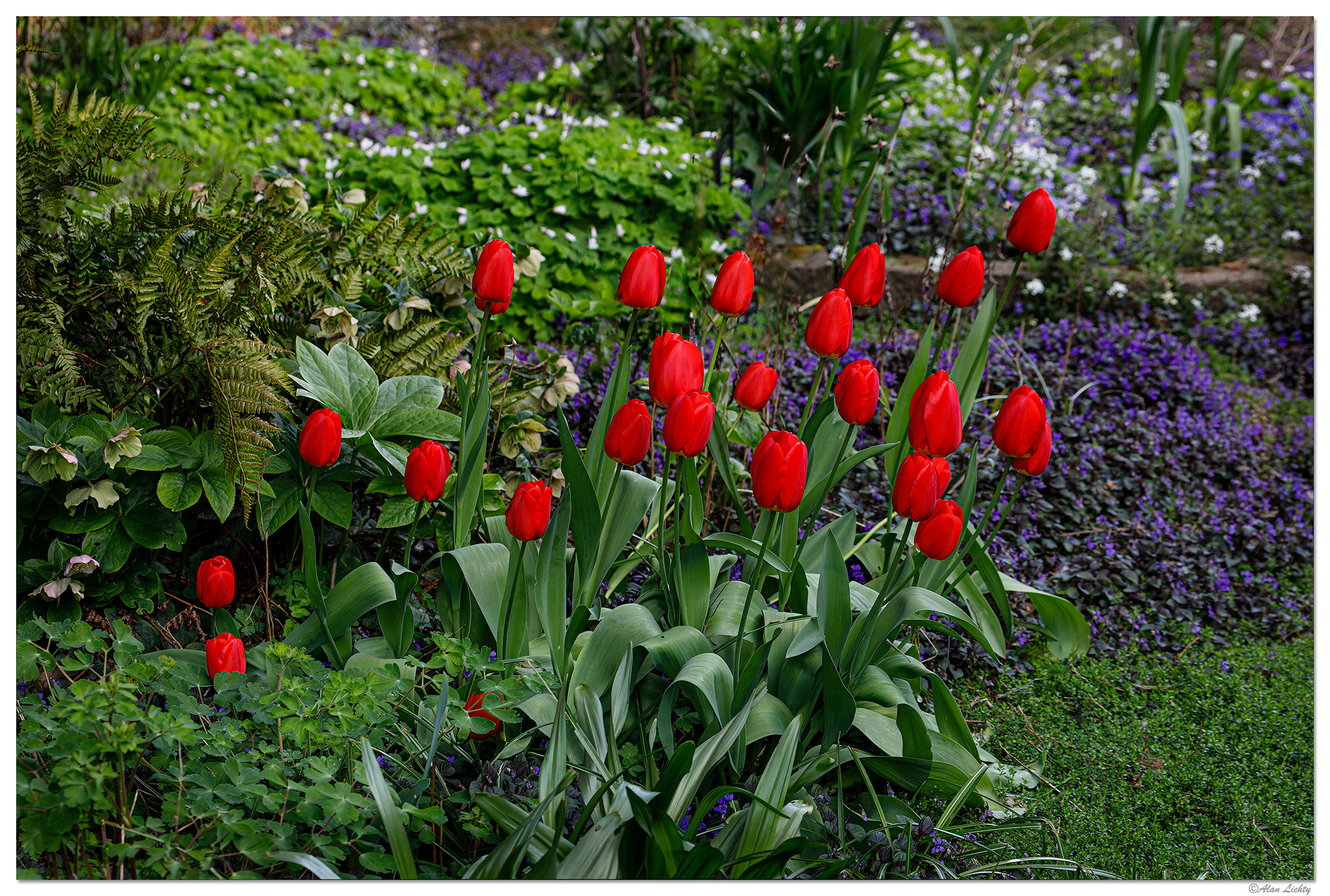C5D4_ColorfulChaos041124.jpg