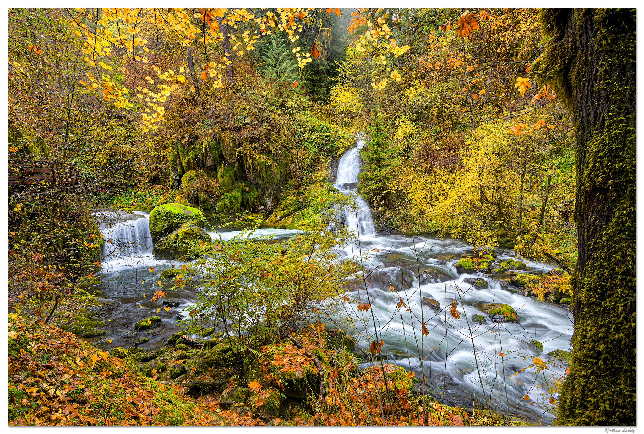 C5D4_ElkWallowCreek110823.jpg