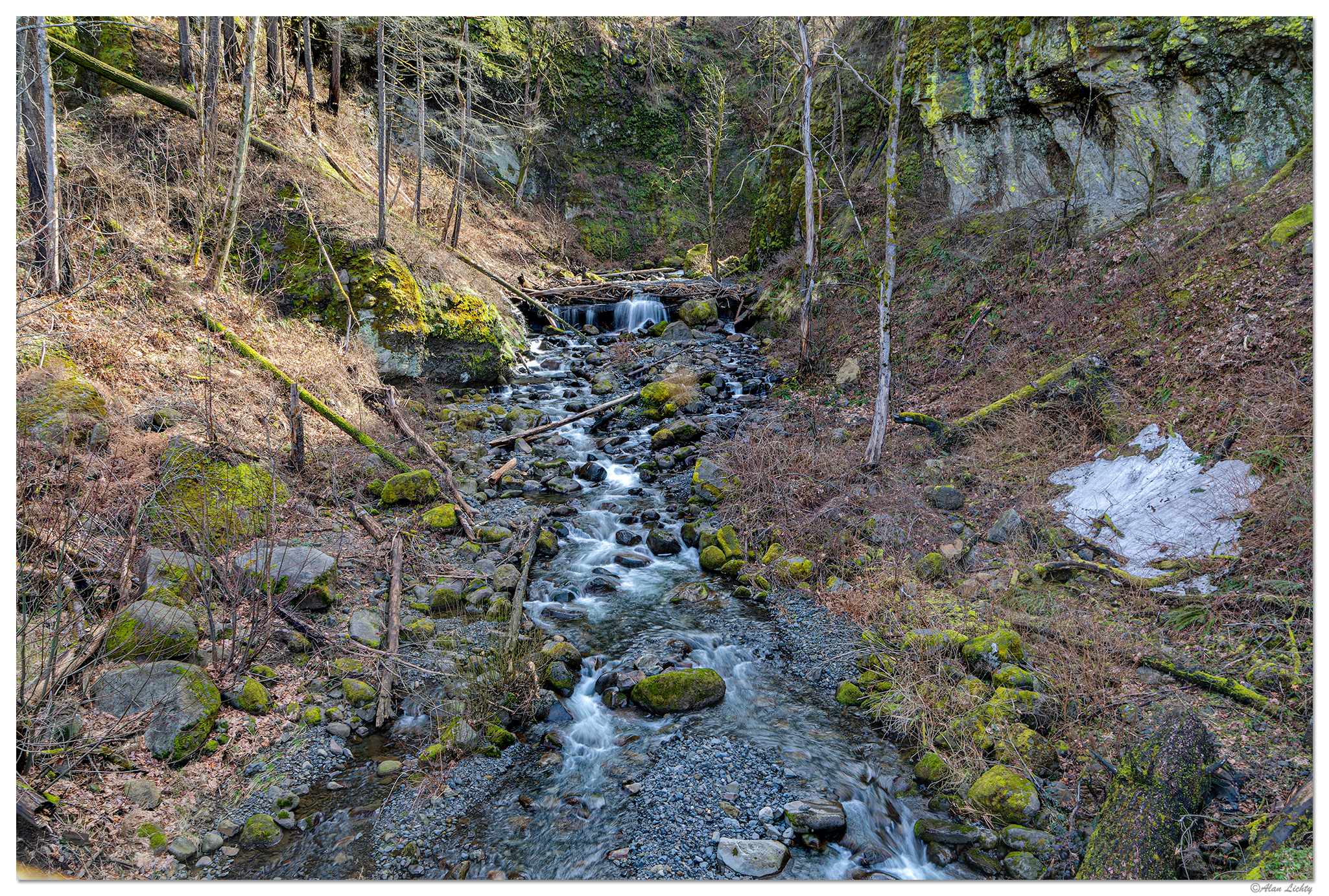 C5D4_McCordCreek030824.jpg