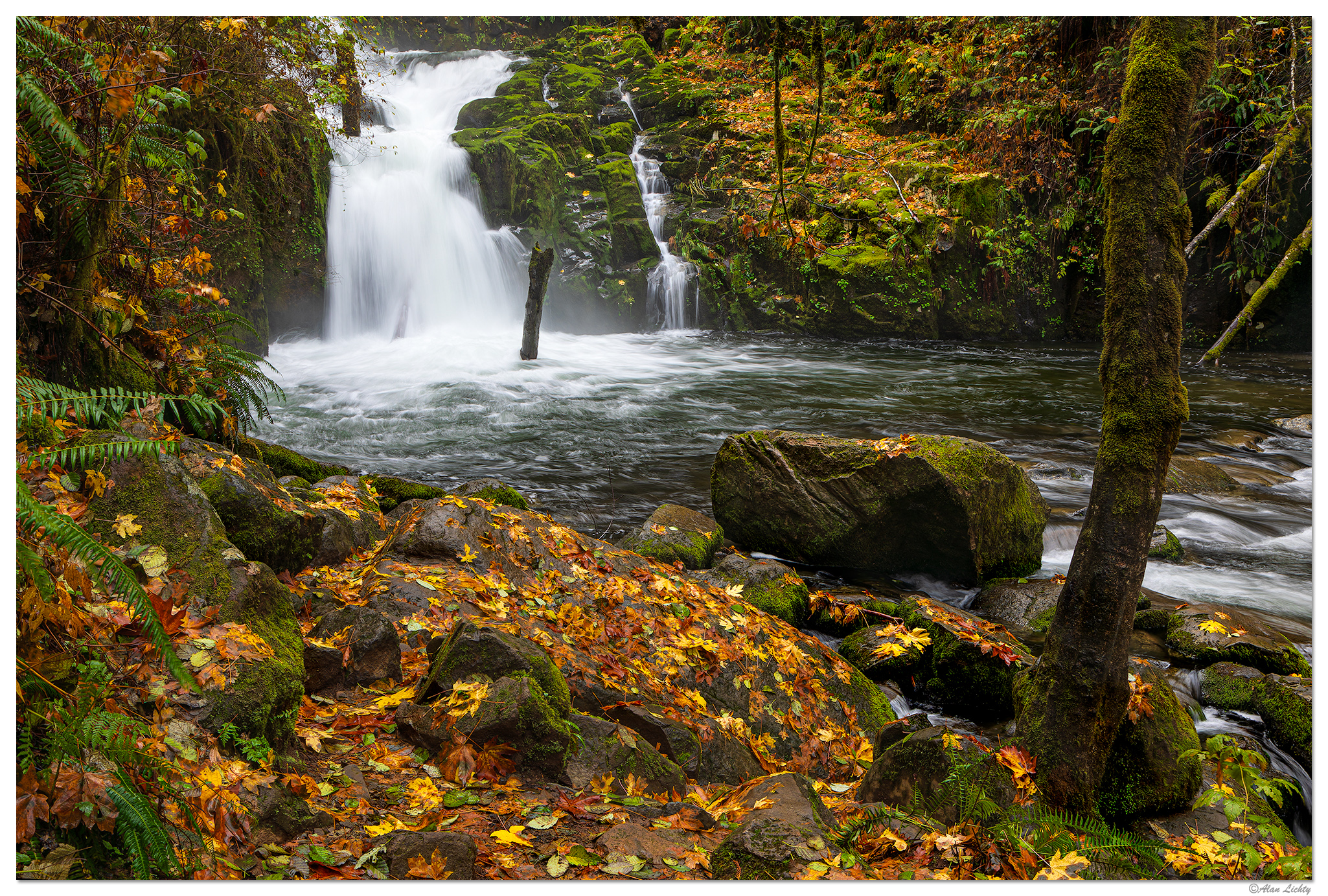 C5D4_SweetCreekFalls110823.jpg