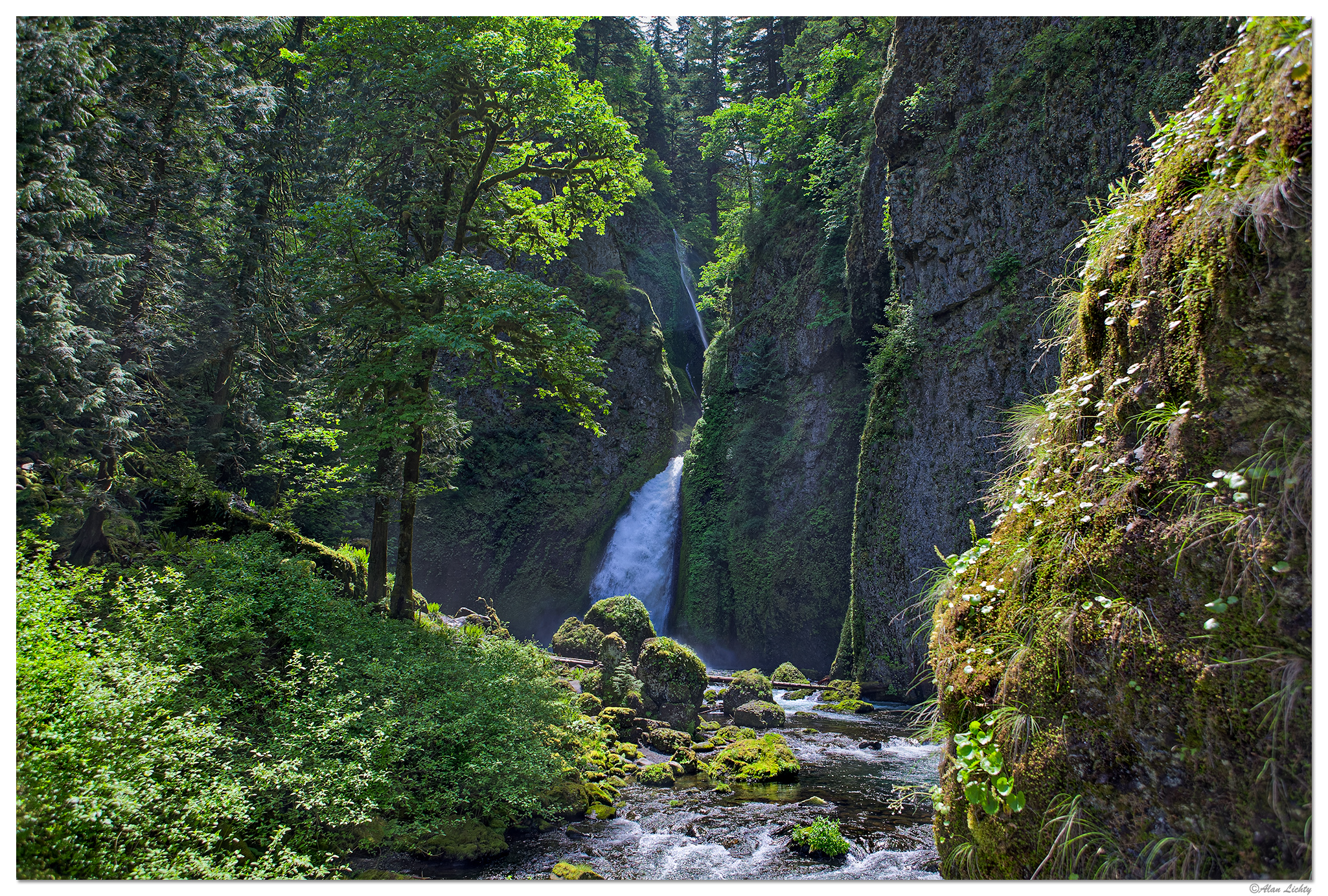 C5D_WahclellaFalls060208.jpg