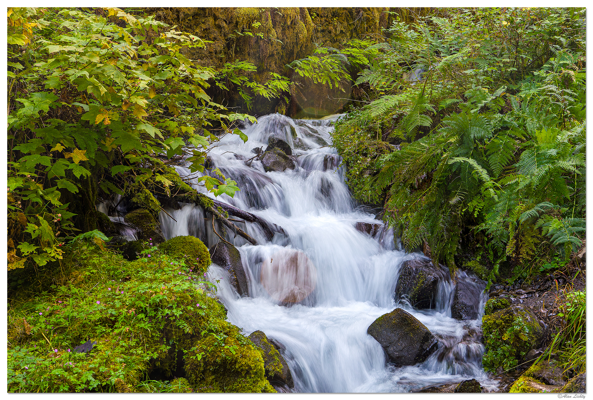 C5D_WahkeenaSpringsTrail082409.jpg