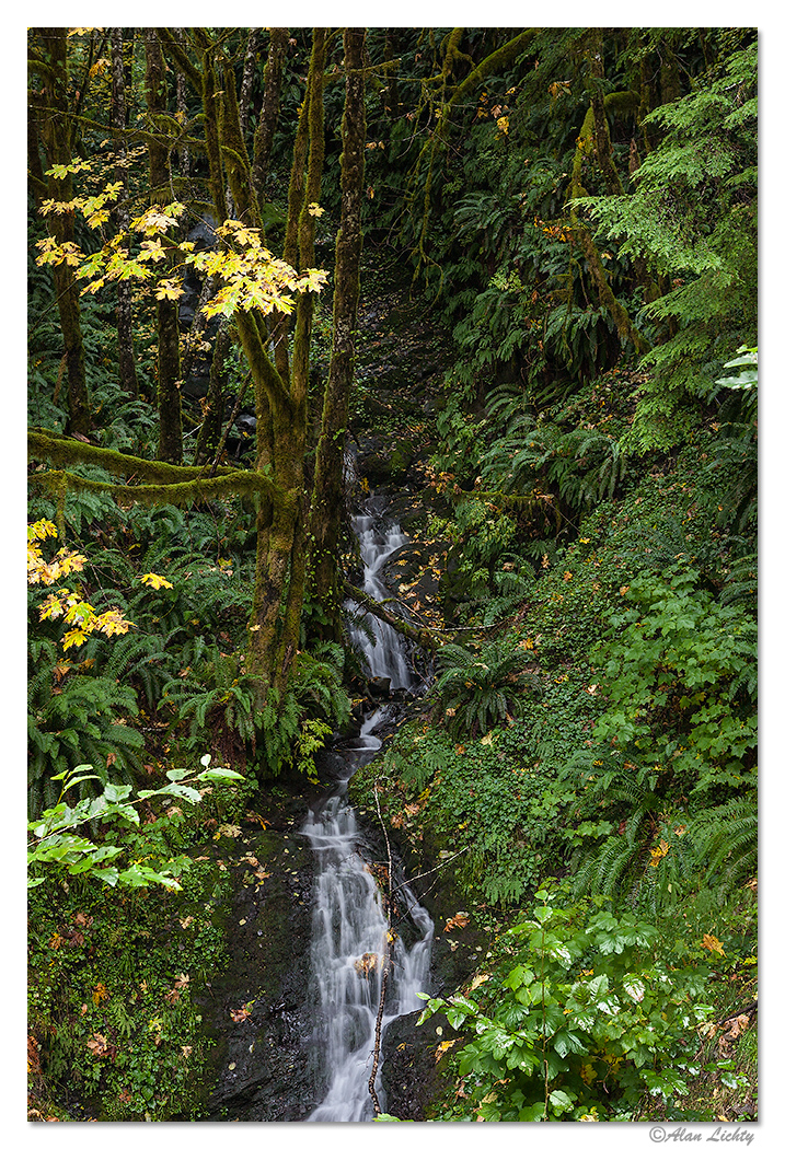 Calawah Road - UnnamedFalls