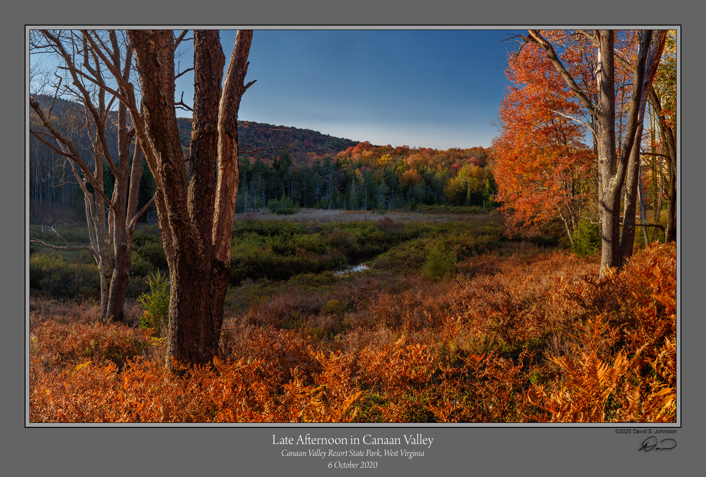 Canaan Valley Late Afternoon.jpg