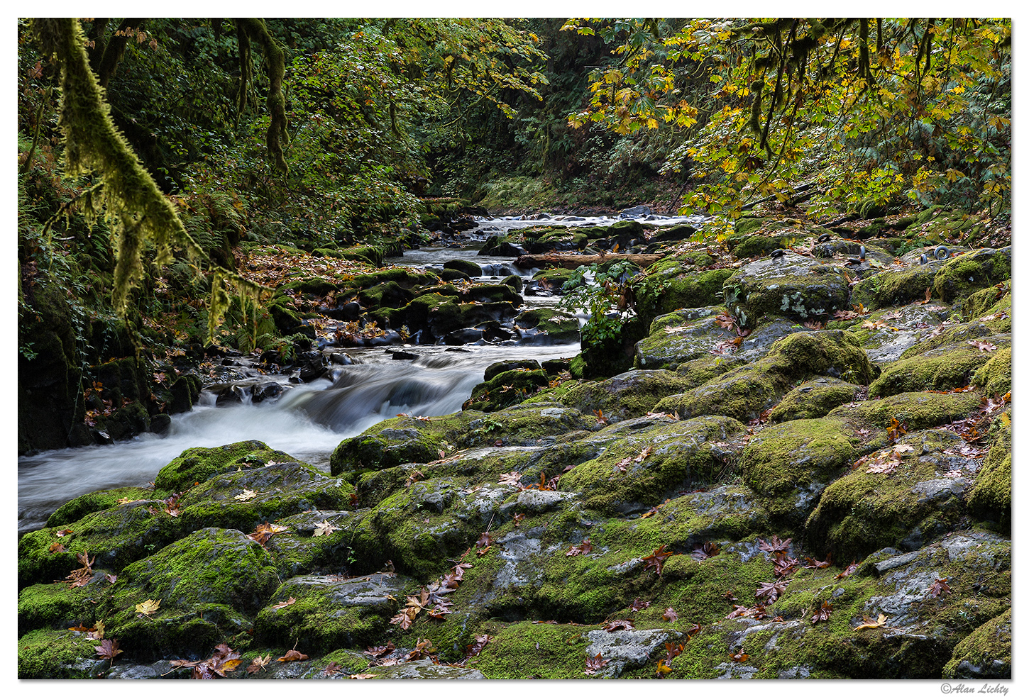 Cedar Creek