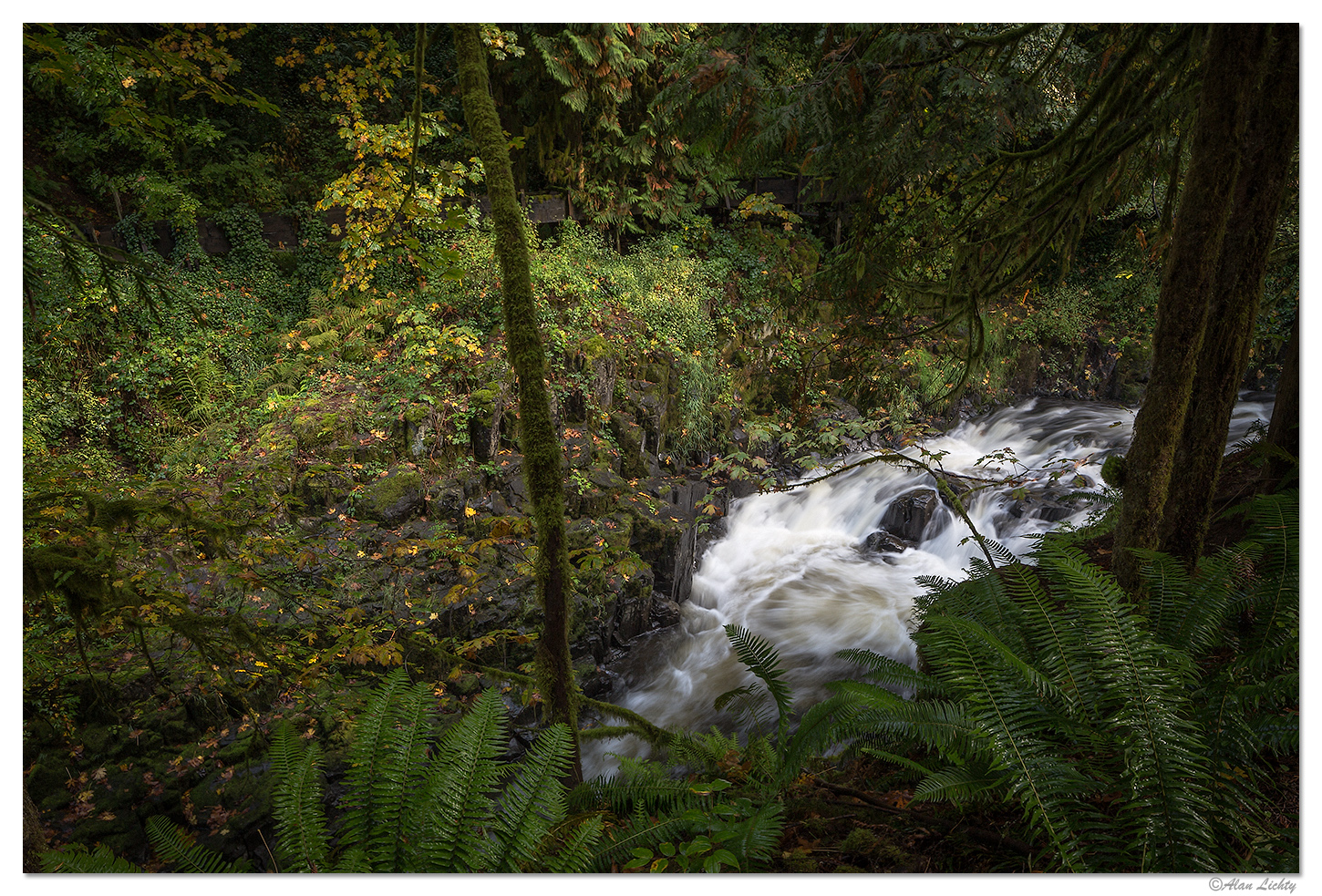 Cedar Creek