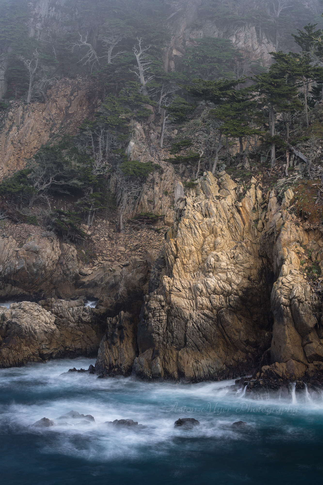 Cliffside Forest.jpg