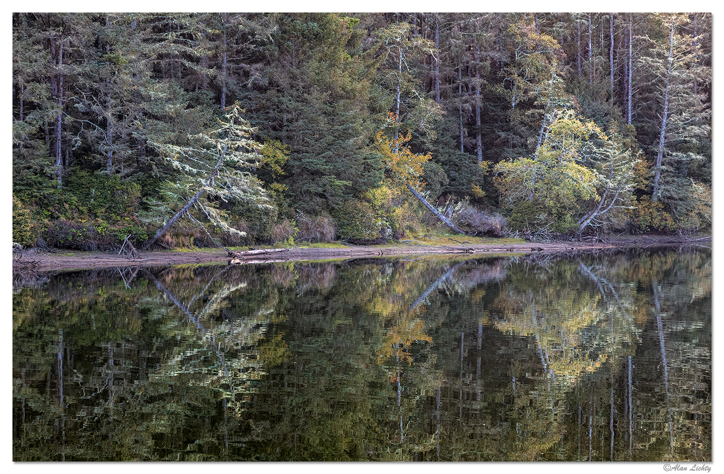 Coffenbury Lake Reflections