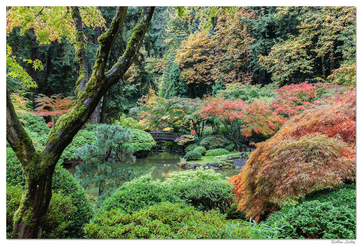 Colors of Fall