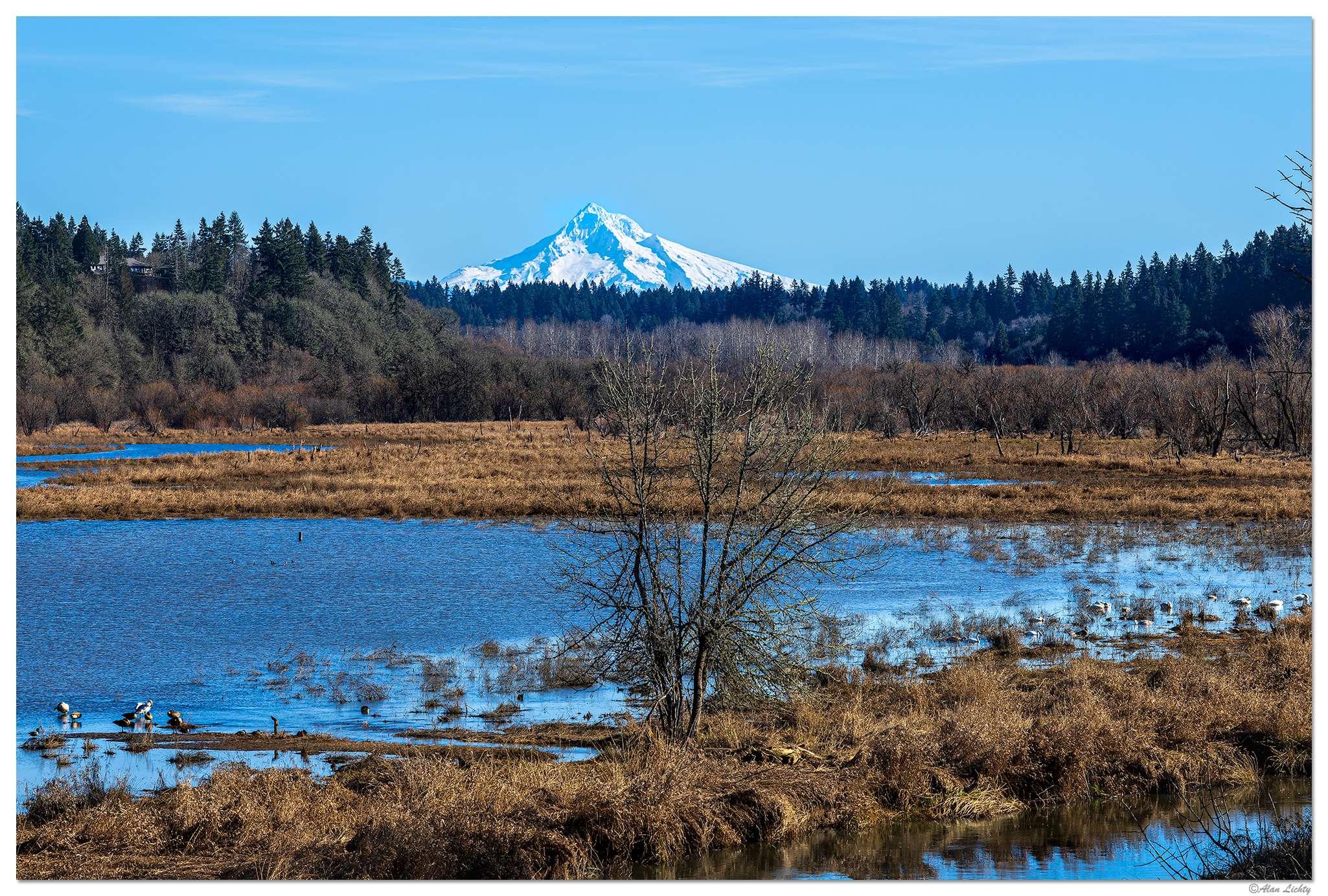 CR5m2_SalmonCreekHood021126.jpg