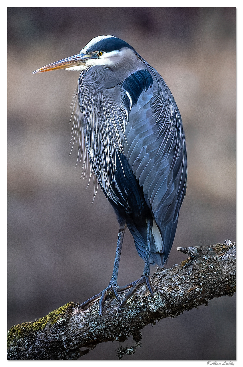 CR5m2_SC-GBH121924.jpg