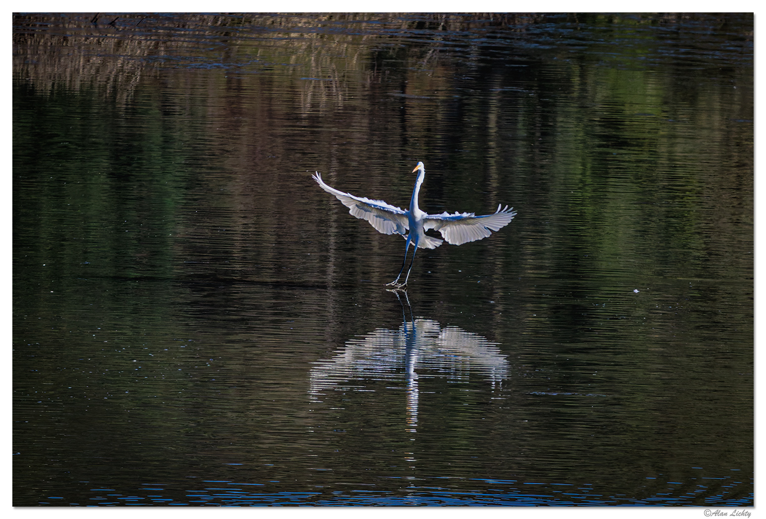 CR5m2_WaterWalker011925.jpg